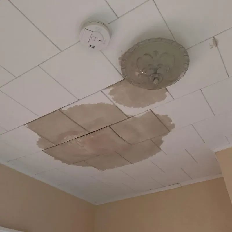 Ceiling Water Damage Repair in Pineville, NC